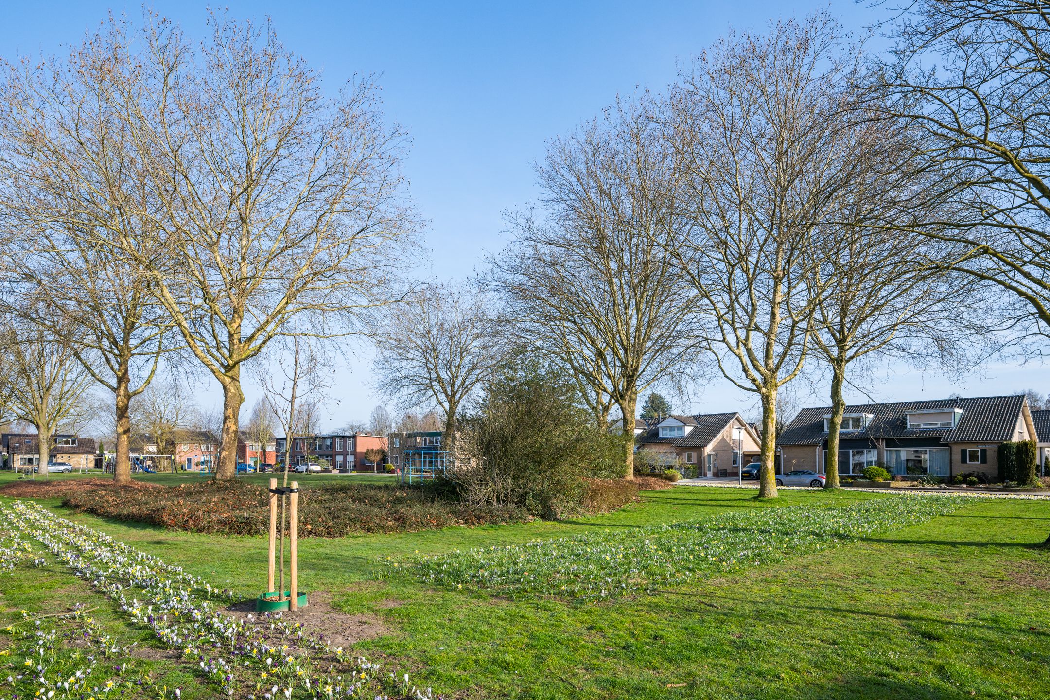 Foto 42 van Prinses Irenestraat 44