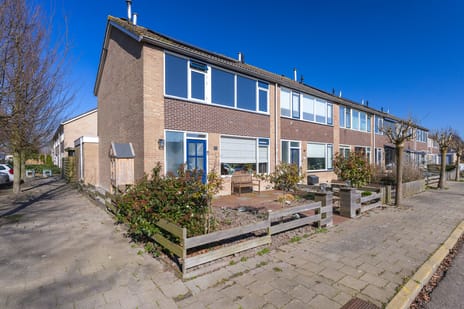 Rose Précocestraat thumbnail