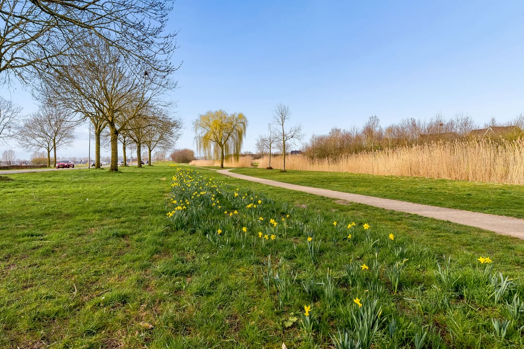 Foto 61 van Koolzaadlaan 155