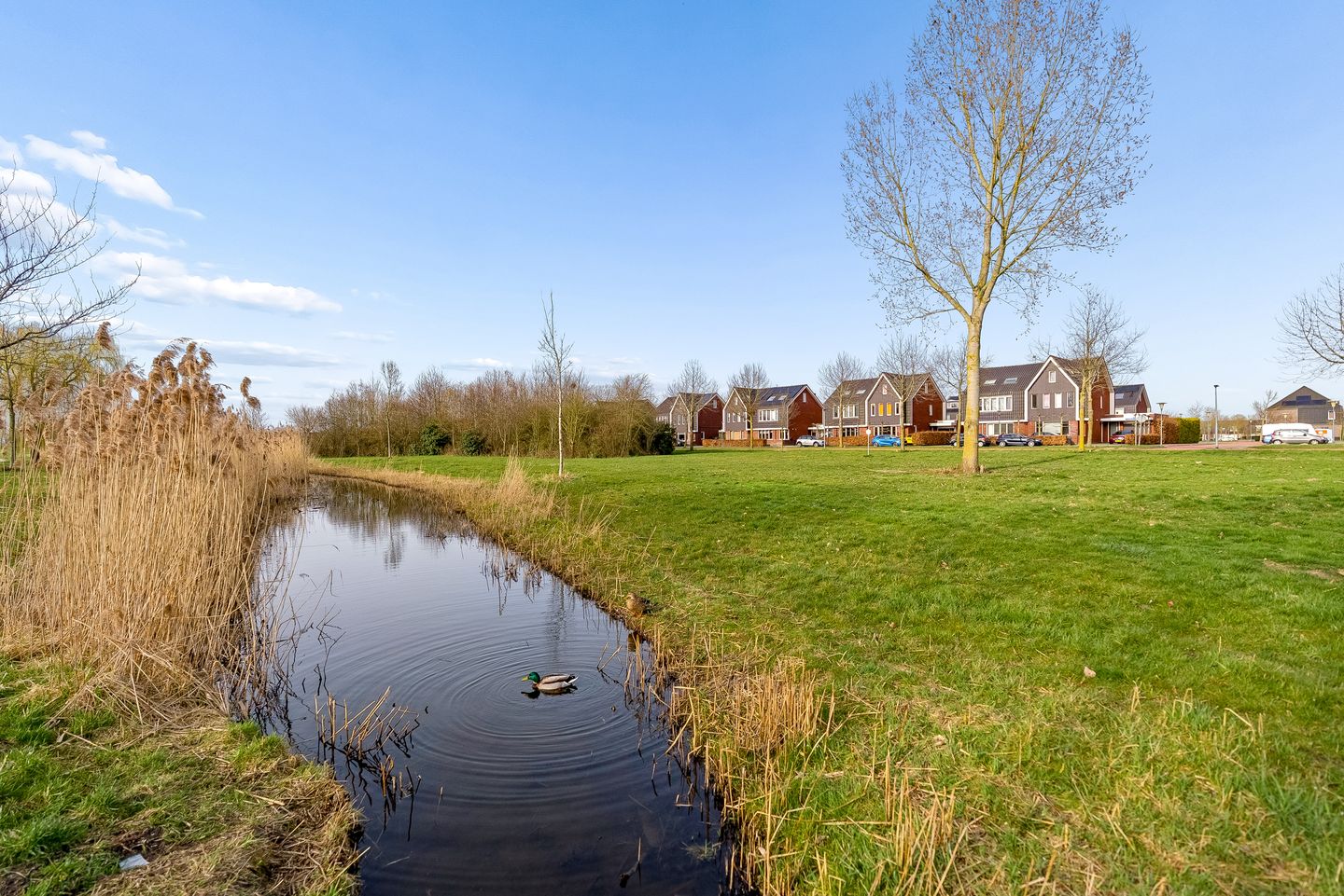 Foto 64 van Koolzaadlaan 155