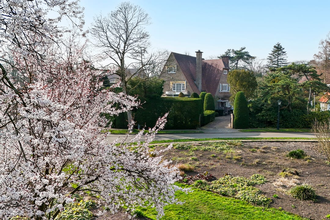 Photo 38 of Wilhelminaplein 3