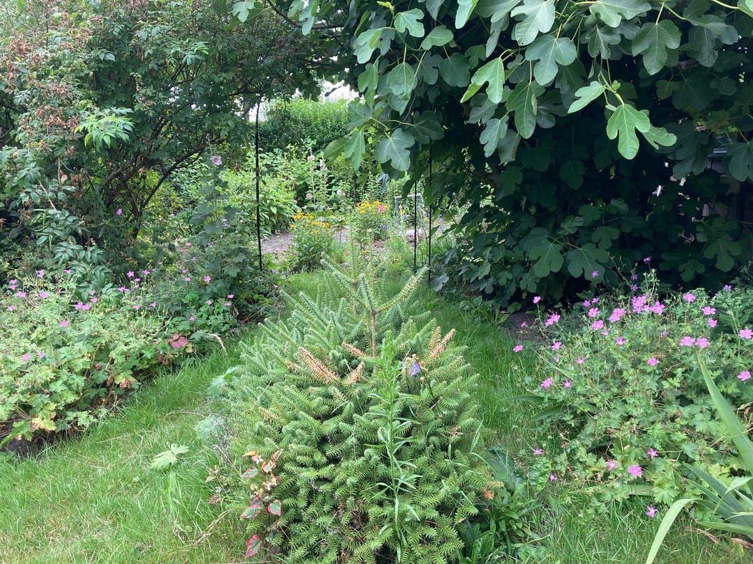 Foto 47 van Herenweg 115