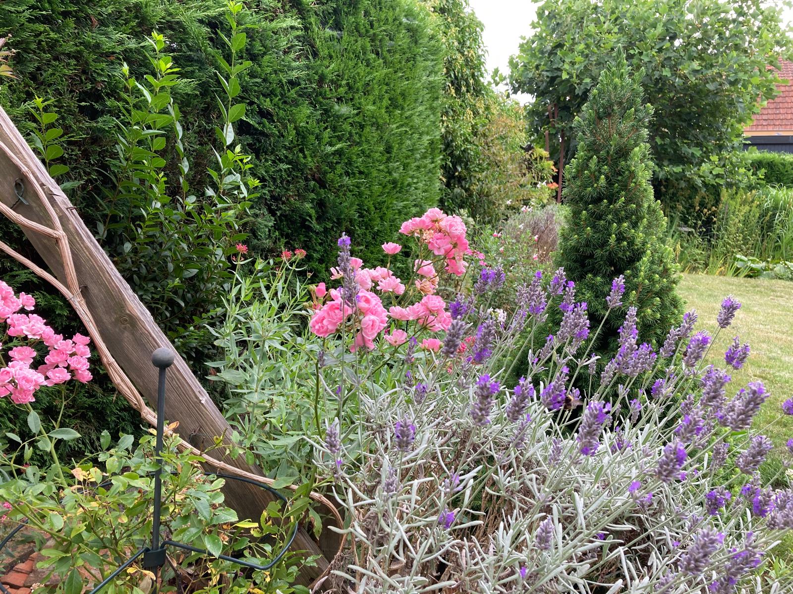 Foto 48 van Herenweg 115