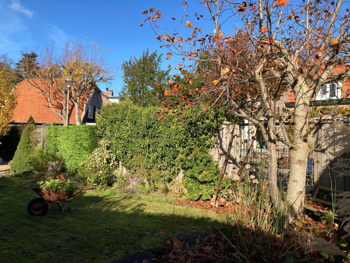 Foto 49 van Herenweg 115