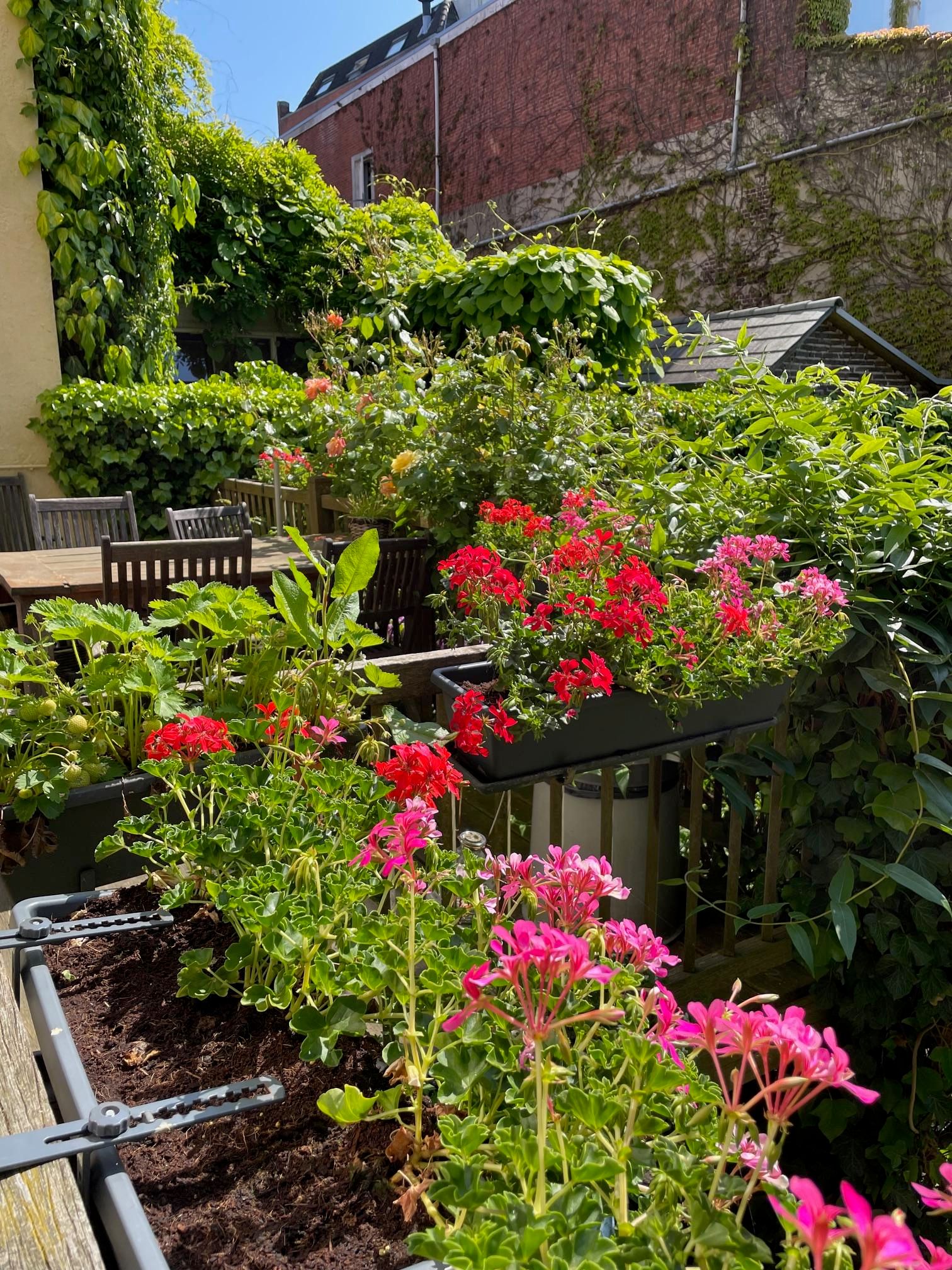 Photo 87 of Westersingel 12