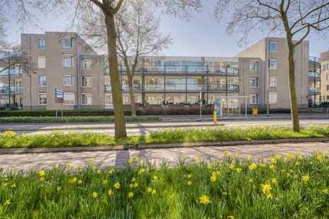 Peter Paul Rubensstraat thumbnail