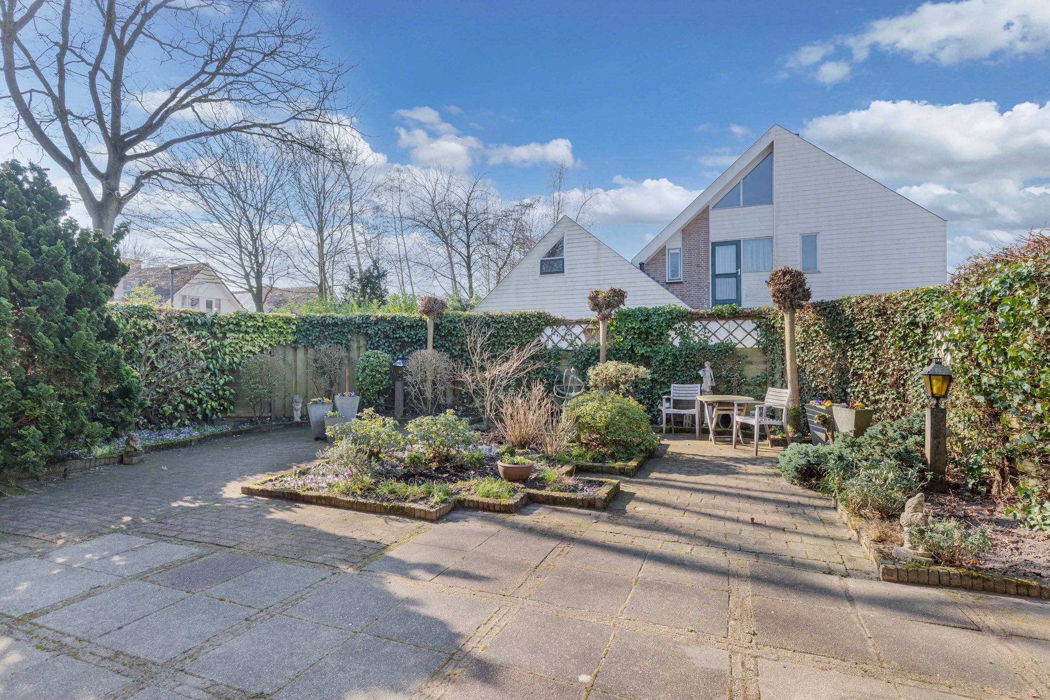 Photo 3 of De Frisia 81