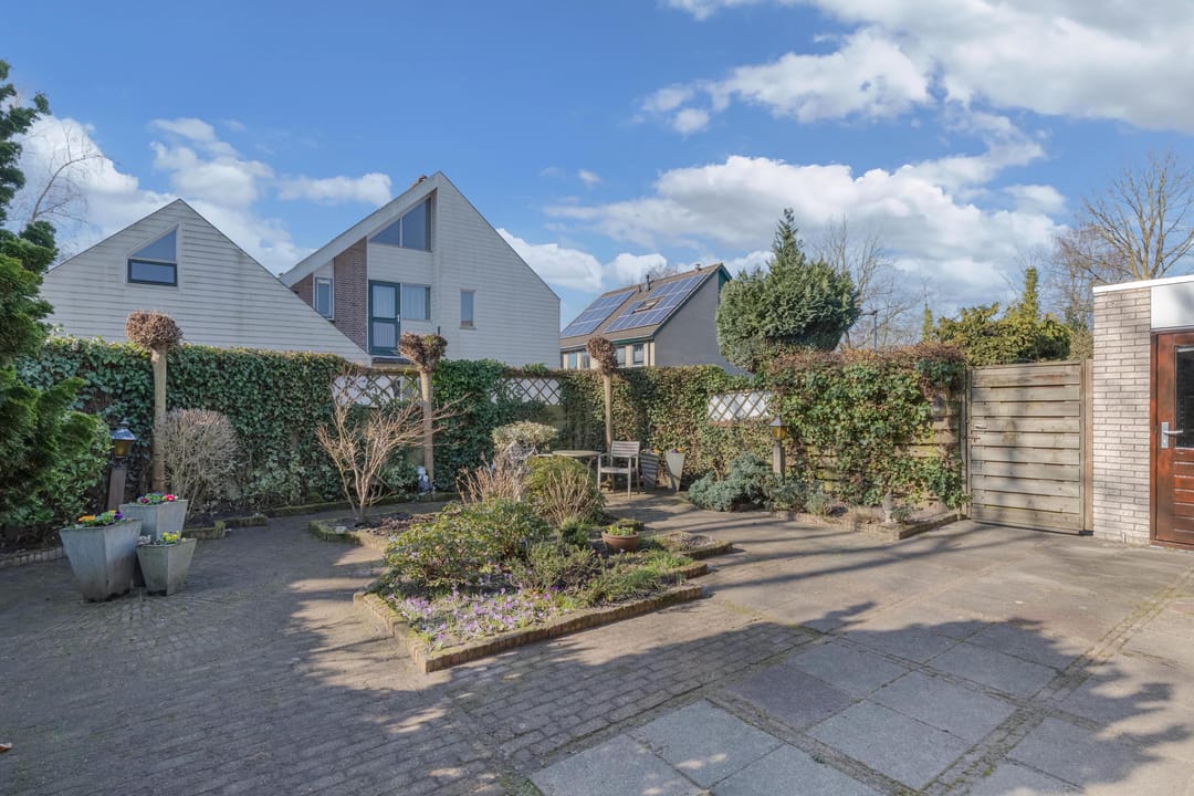 Photo 43 of De Frisia 81