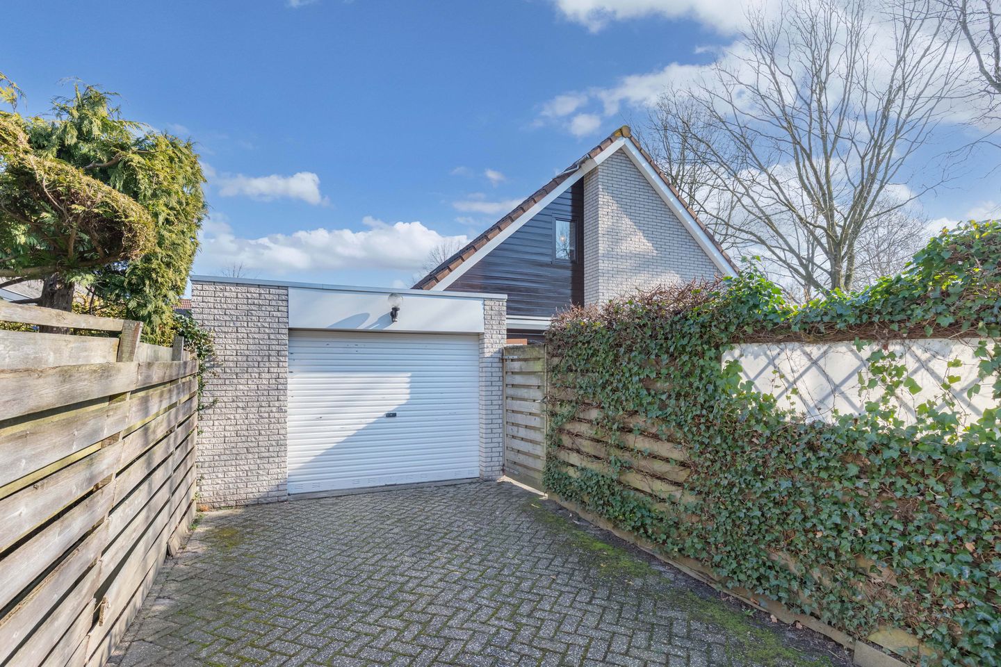 Photo 50 of De Frisia 81