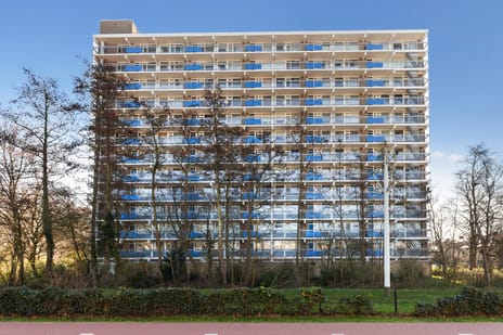 Albertine Agneslaan thumbnail