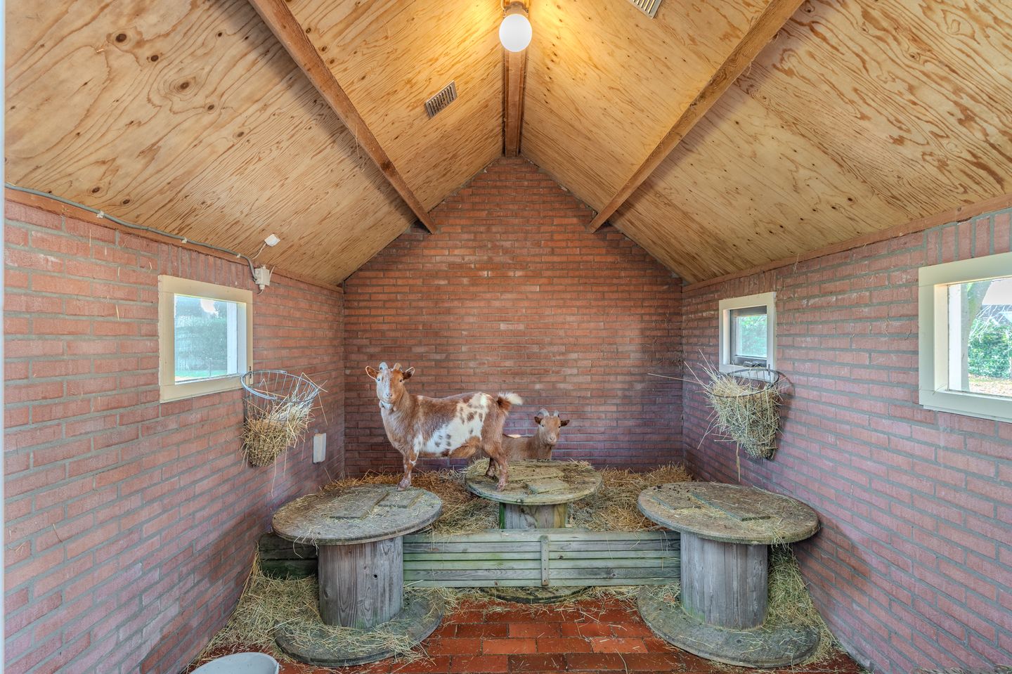 Photo 34 of Kanaaldijk O.Z. 2