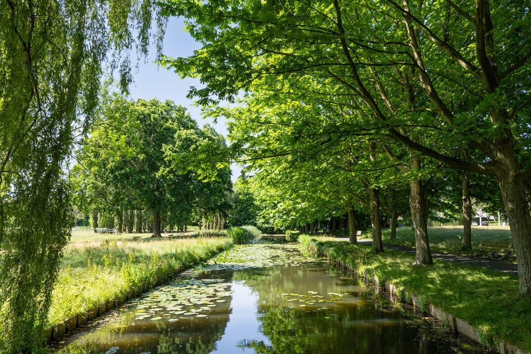 Photo 38 of Händelstraat 71