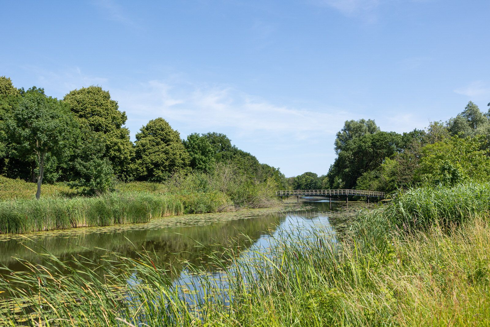 Photo 45 of Händelstraat 71