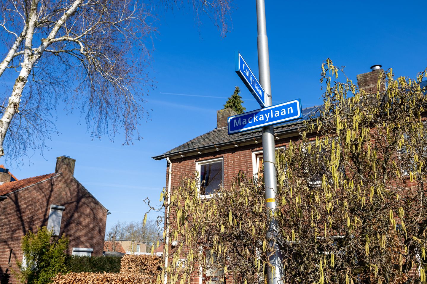 Photo 49 of Mackaylaan 25