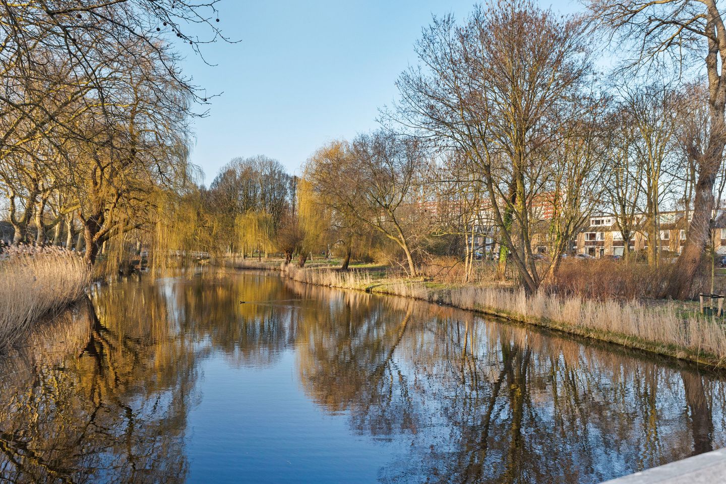 Foto 55 van Kraakstraat 115