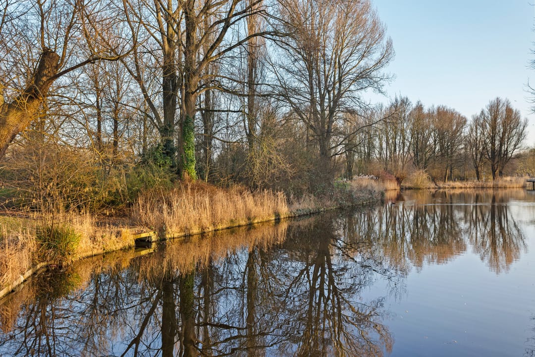 Foto 56 van Kraakstraat 115