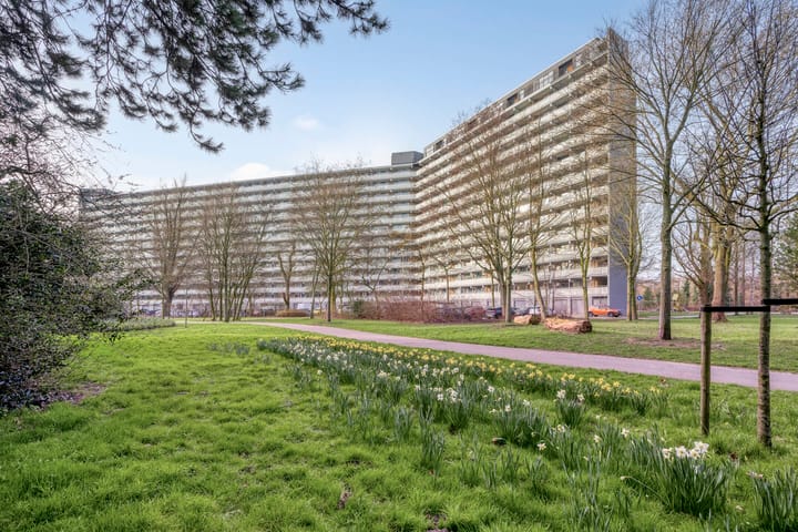 Chopinplein 145