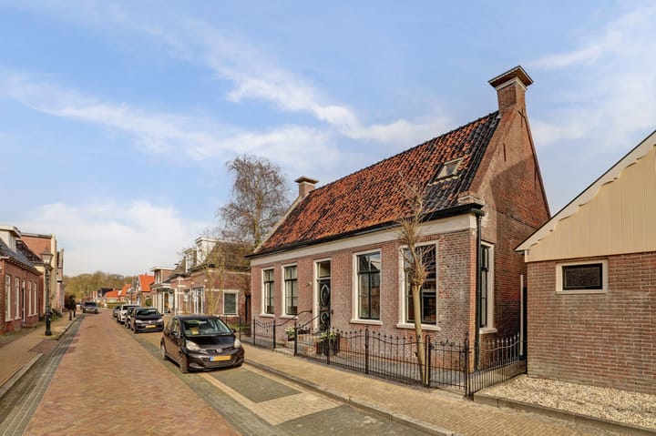 Skilpaed 31 main image