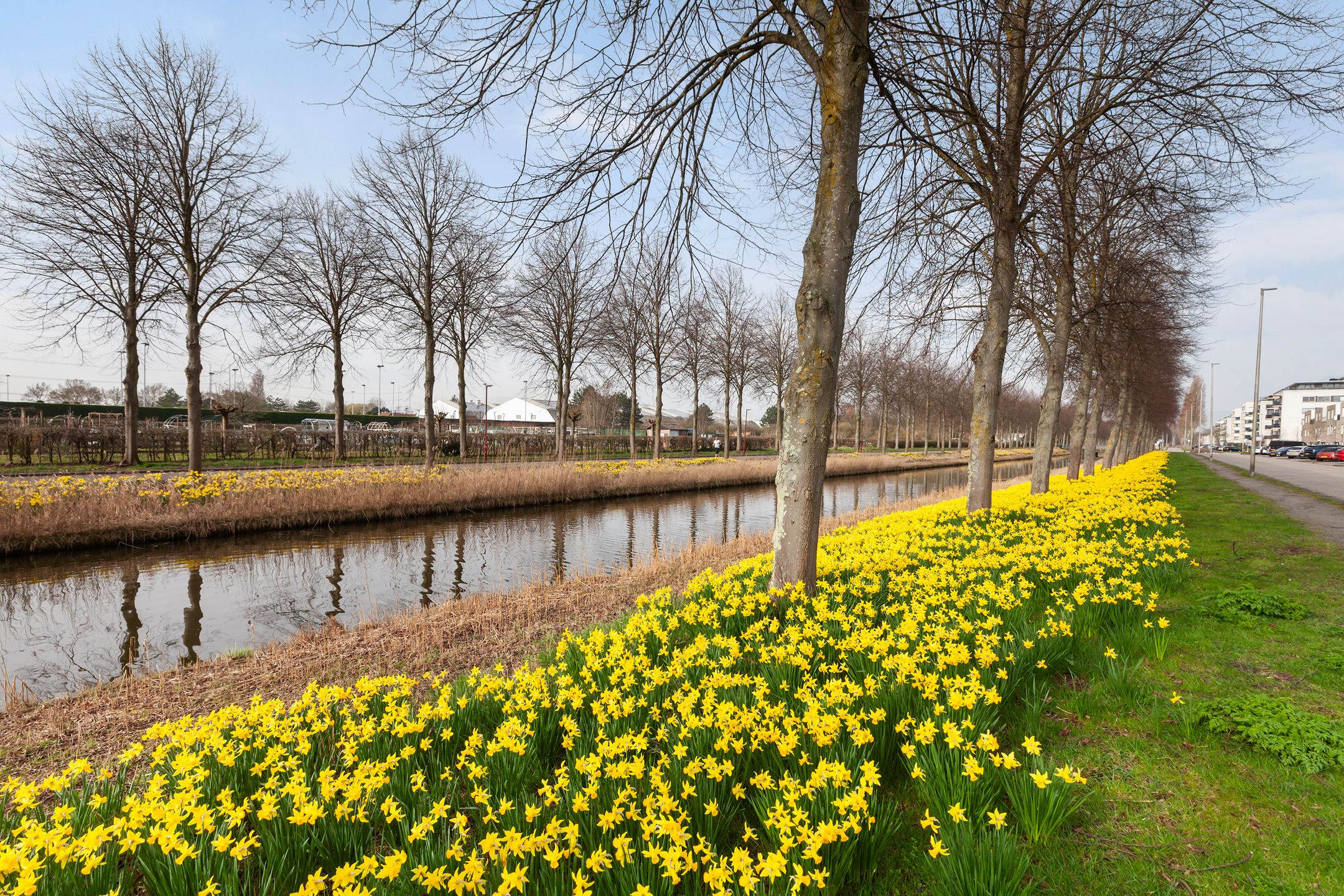 Foto 36 van Spectrumsingel 191