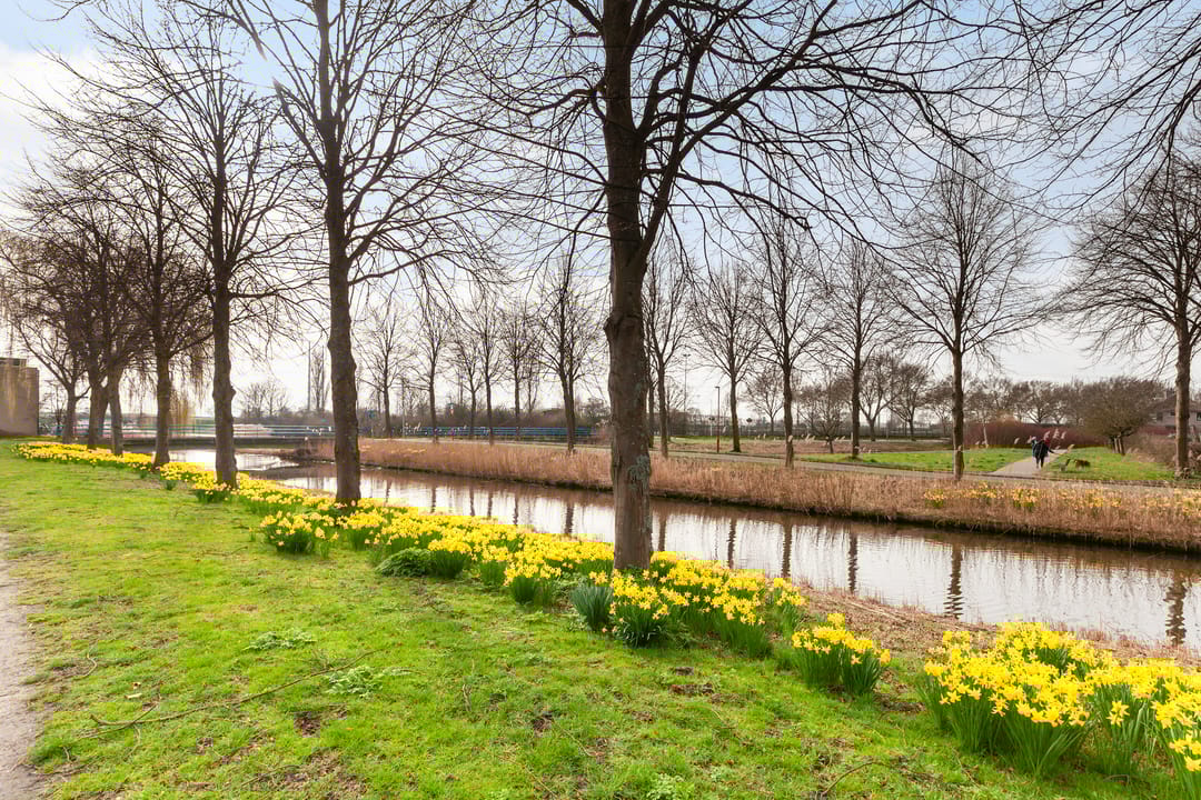 Foto 37 van Spectrumsingel 191