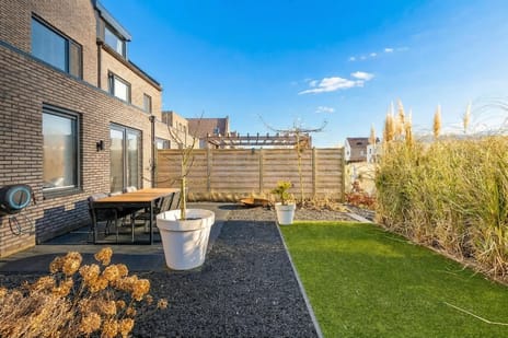 Kamgras 29 secondary image