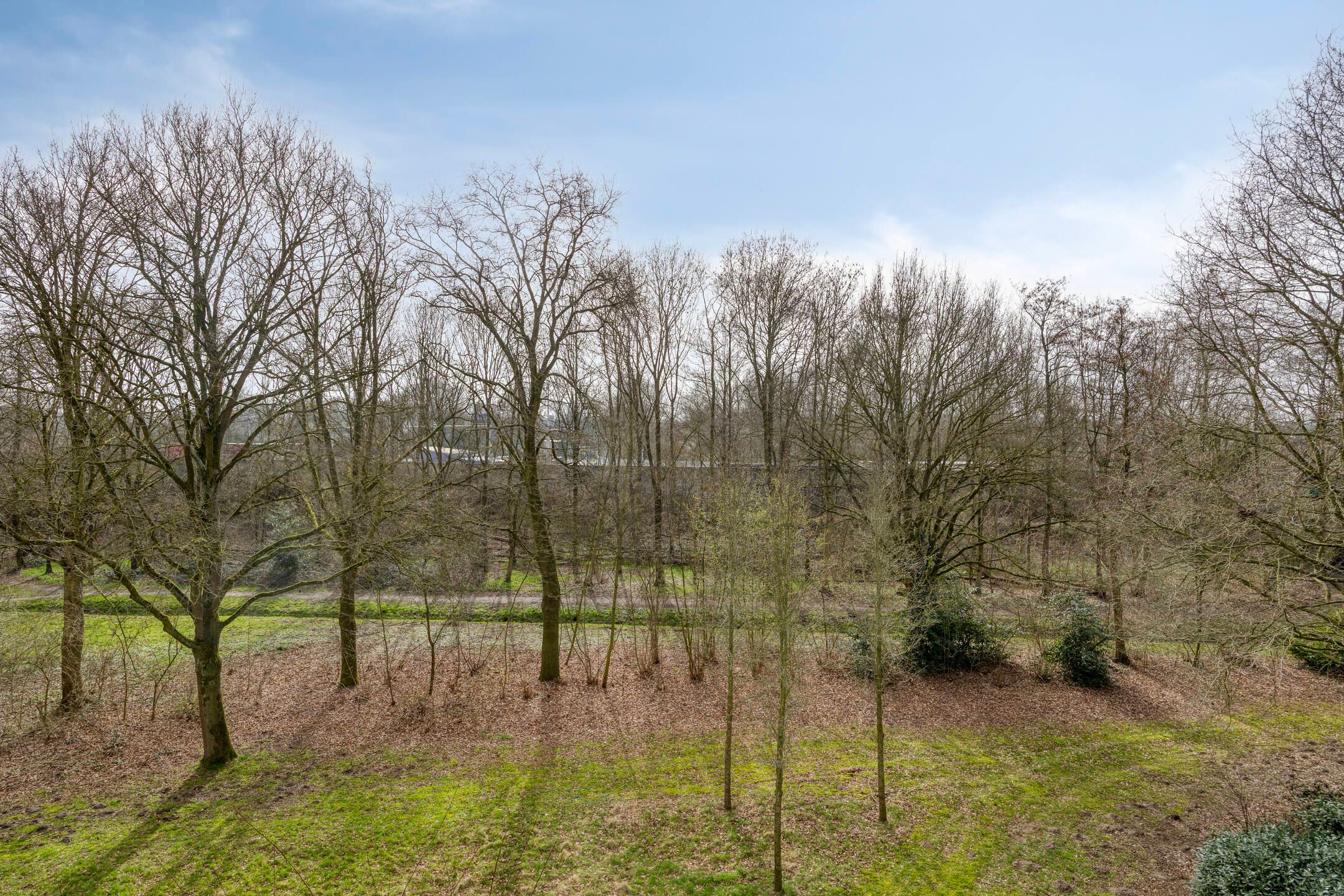 Foto 15 van Papendonk 22