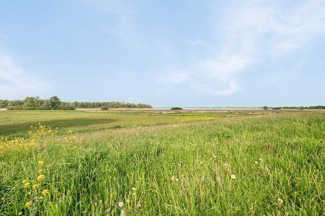 Foto 52 van Oppen Swolle 62