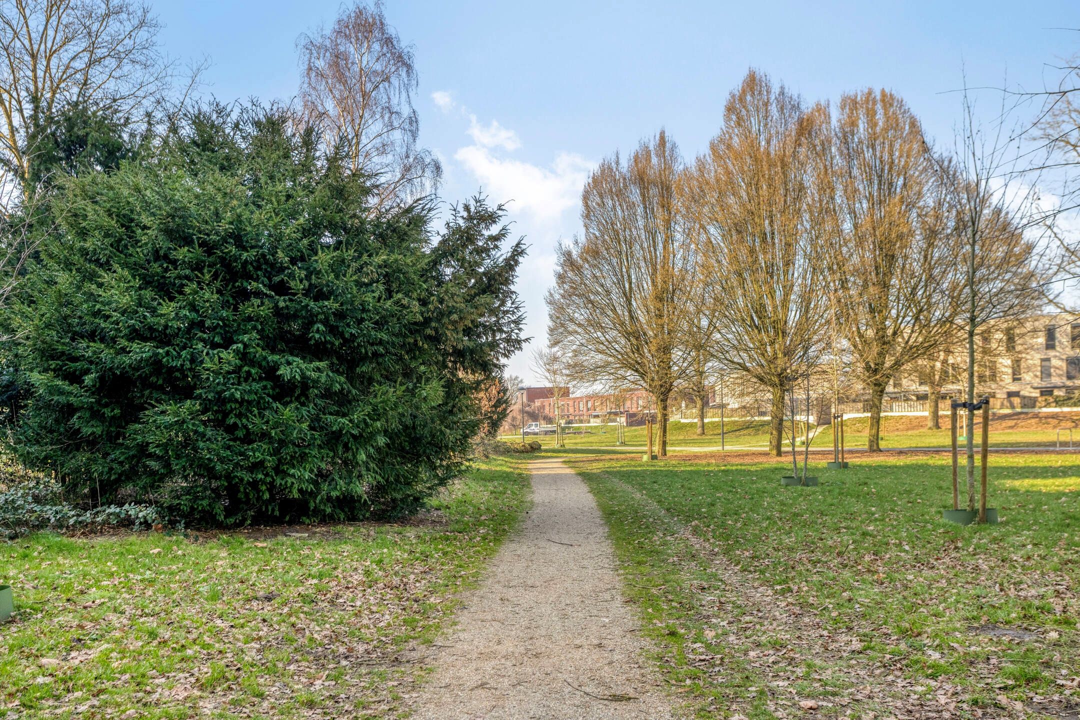 Photo 33 of Lisztgaarde 48