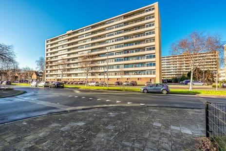 Rubicondreef thumbnail