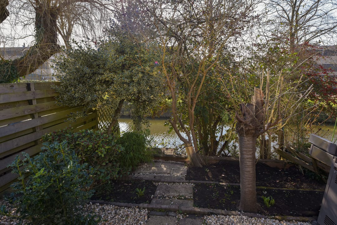 Foto 28 van Schout 5