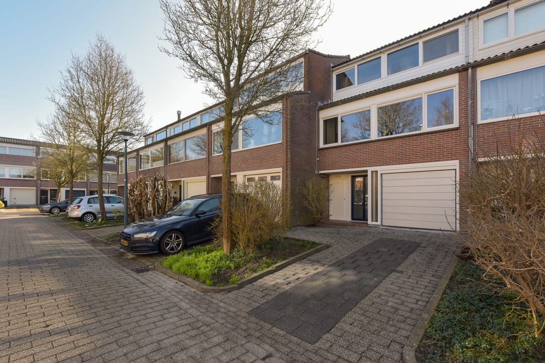 Foto 31 van Schout 5