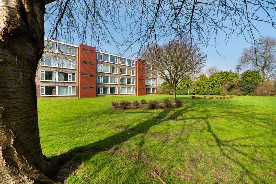 Foto 41 van Tjongerstraat 2