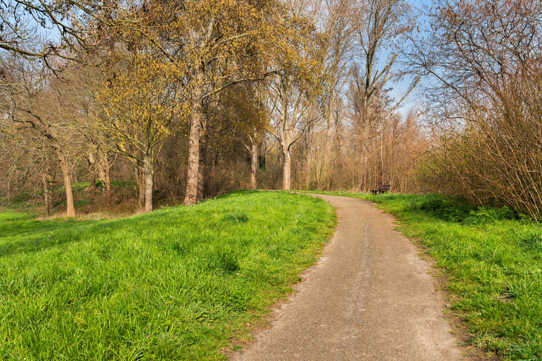 Foto 42 van Tjongerstraat 2