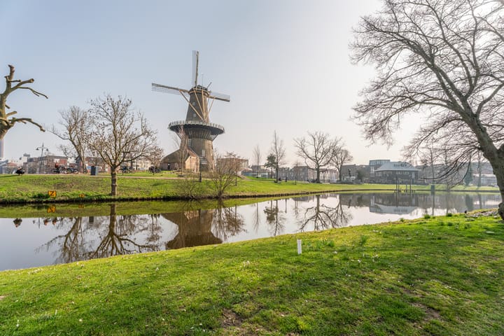 Foto 4 van Rijnsburgersingel 46