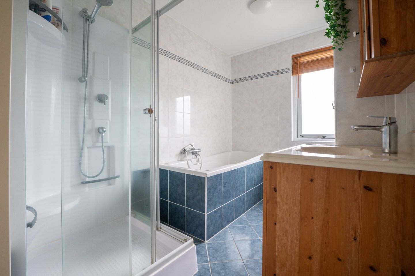 Photo 20 of Grote Beer 15