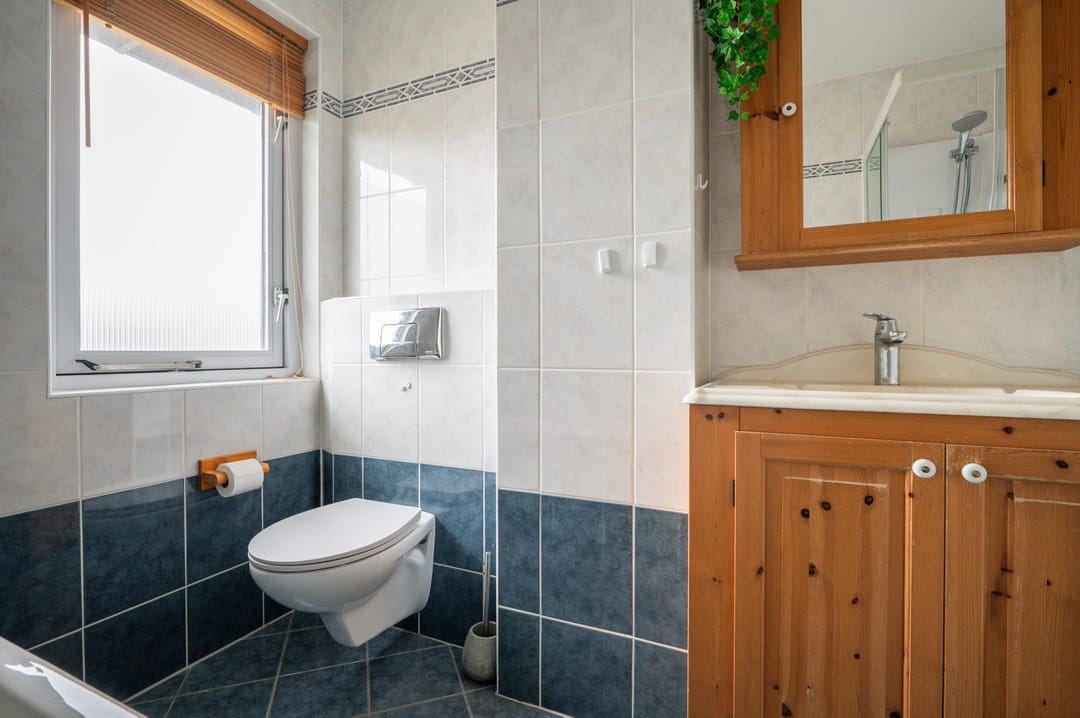 Photo 22 of Grote Beer 15