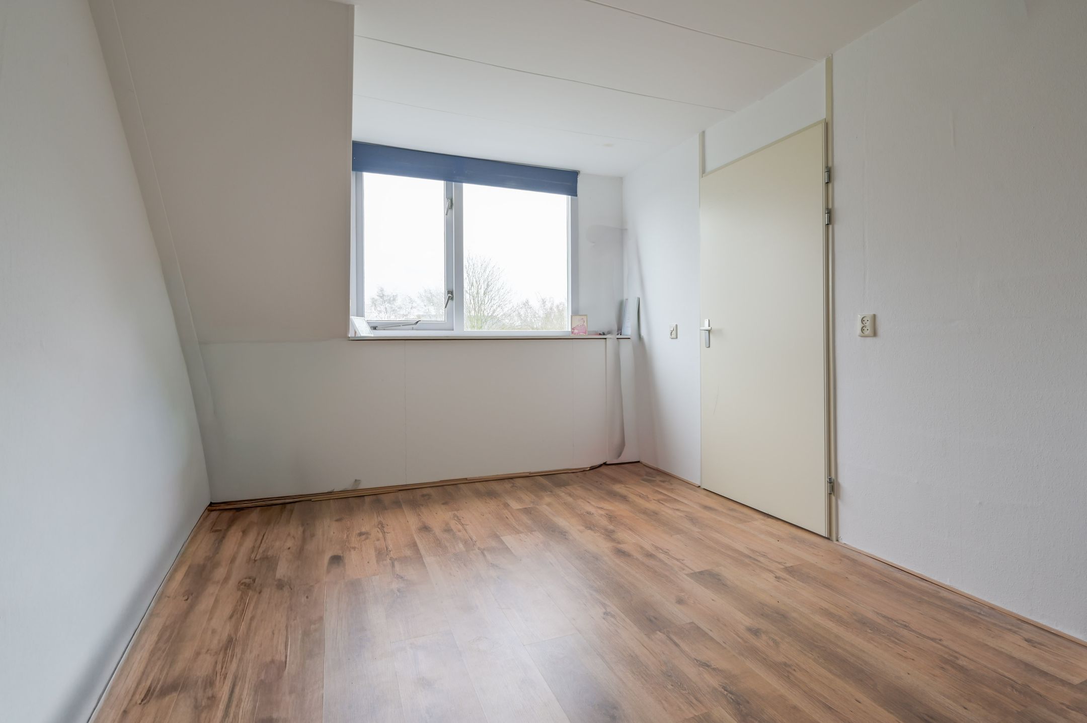 Photo 27 of Grote Beer 15