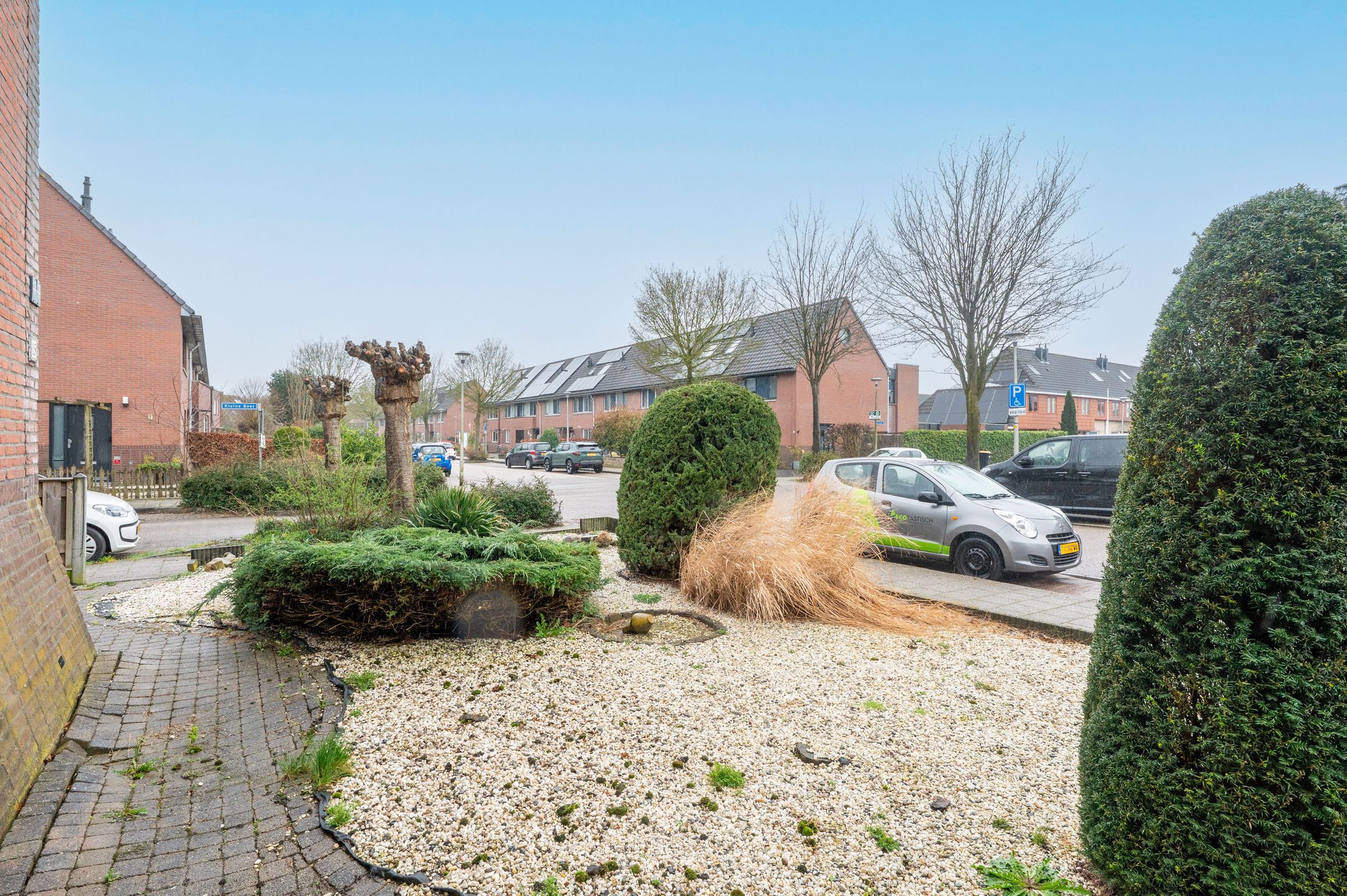 Photo 30 of Grote Beer 15