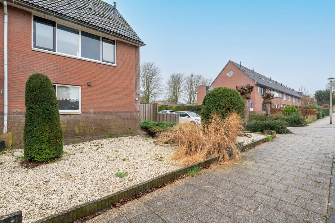 Photo 31 of Grote Beer 15