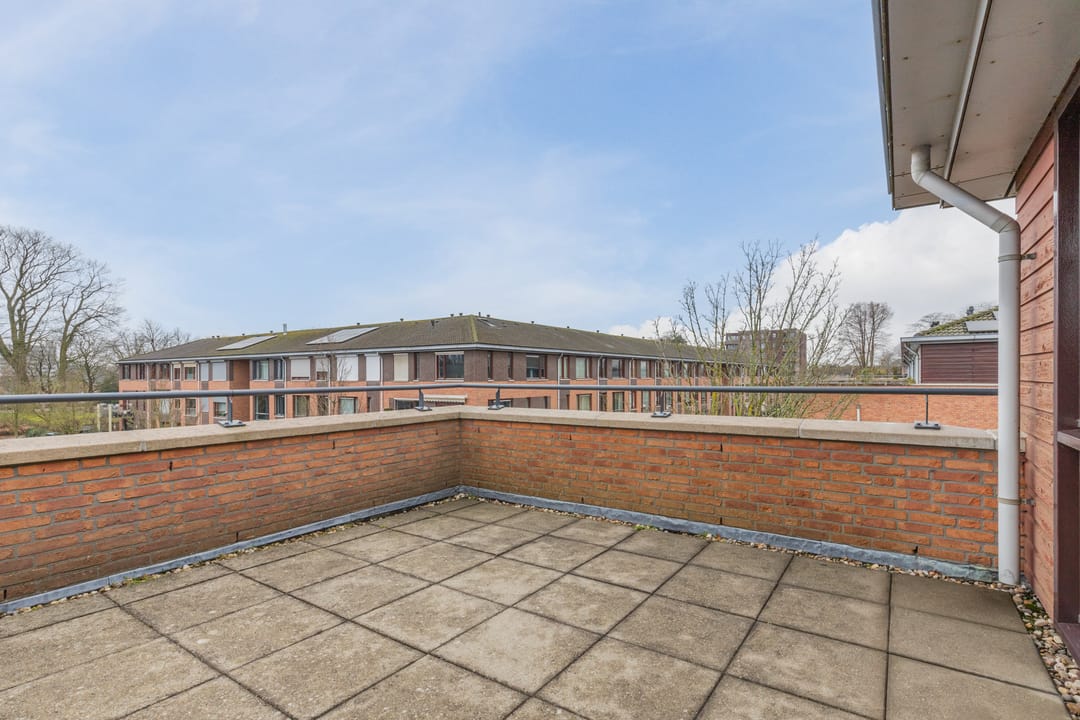 Photo 46 of Okkernoot 26