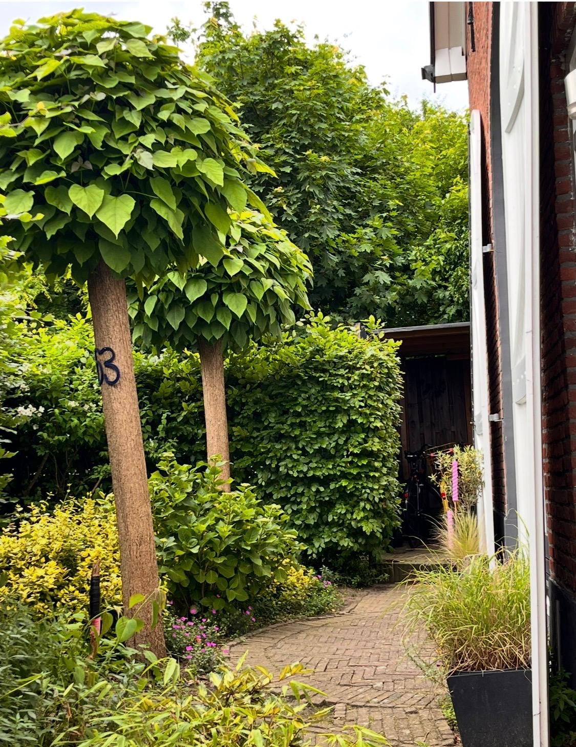 Koestraat 40 Westkapelle