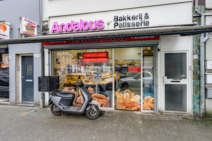 Groene Hilledijk 223-B