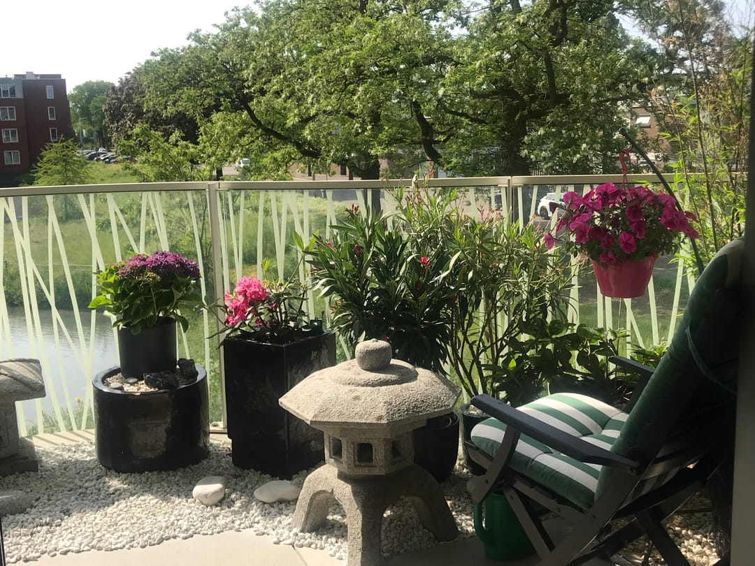 Foto 13 van Ruys de Beerenbrouckstraat 82