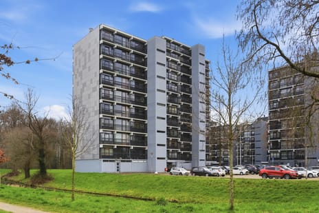 Lankforst 5615 tertiary image