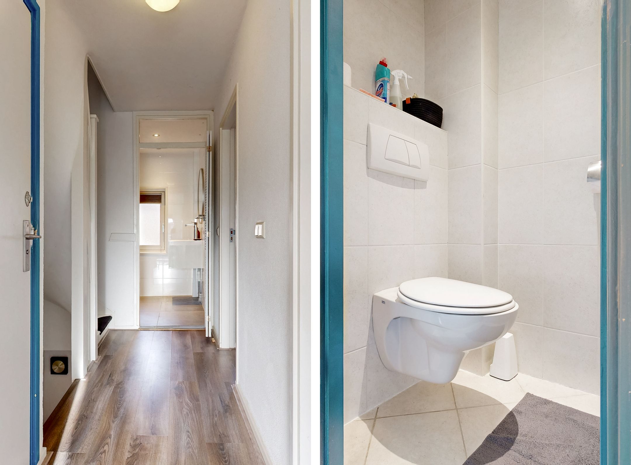 Foto 12 van De Hagedisstraat 10