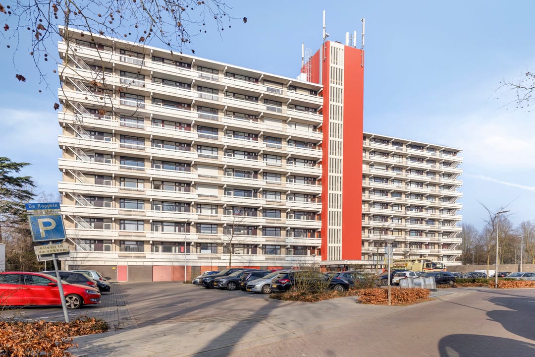 Foto 8 van de Koppele 45