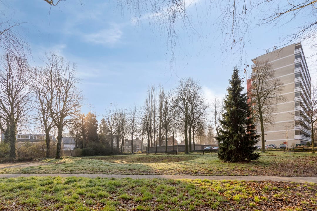 Foto 32 van de Koppele 45