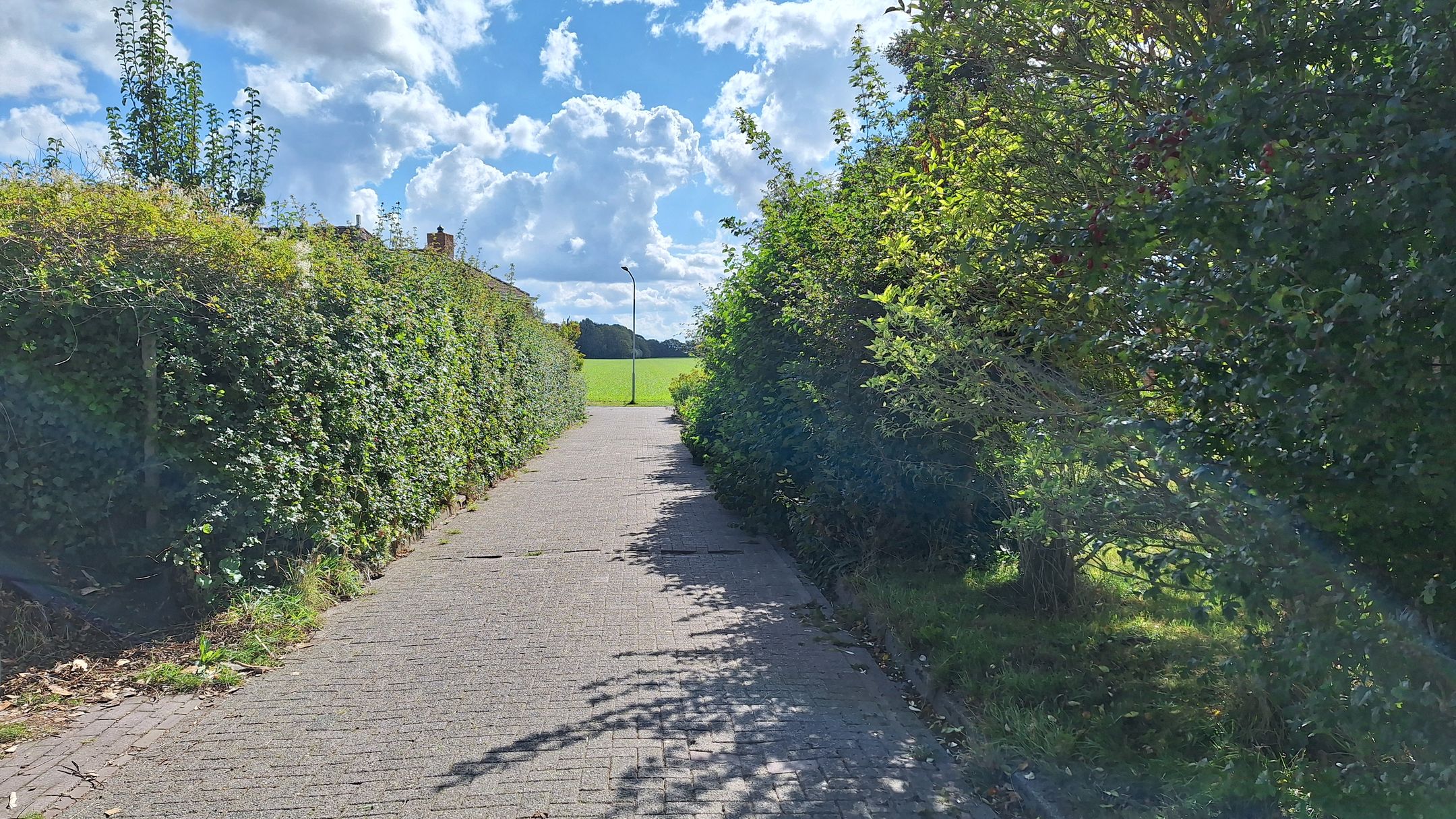 Photo 15 of Boschweg 14-A