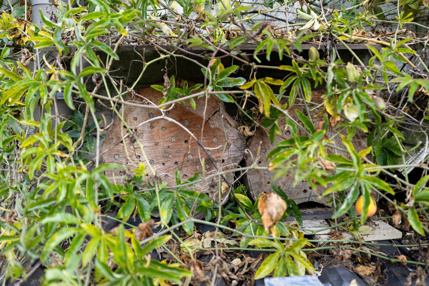 Photo 74 of Boschweg 14-A