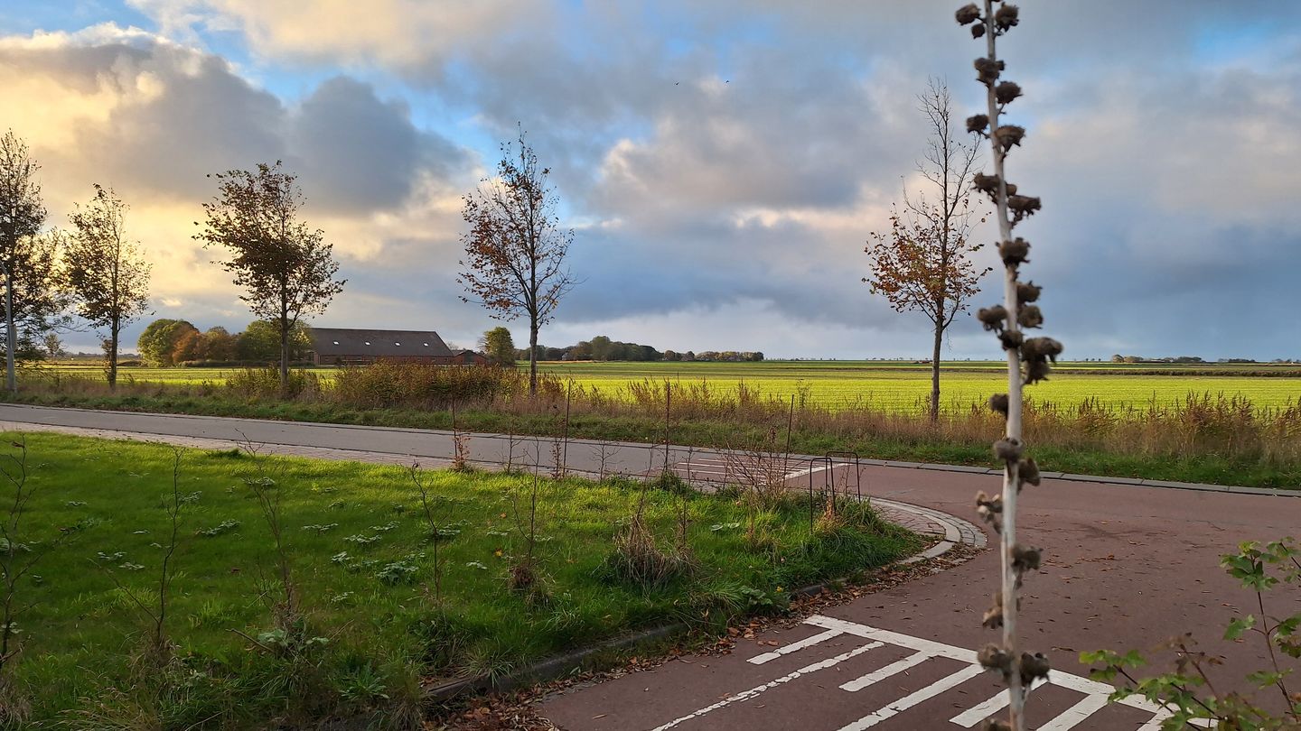 Photo 80 of Boschweg 14-A